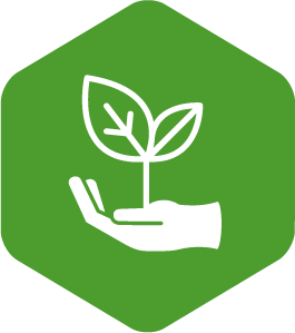 Employee Growth icon Employee Growth icon