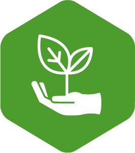 Employee Growth icon